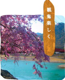 四季を楽しむ　美濃市のご宴会・ご法事・ご宿泊の「美濃緑風荘」美濃でお食事するなら料理旅館「美濃緑風荘」