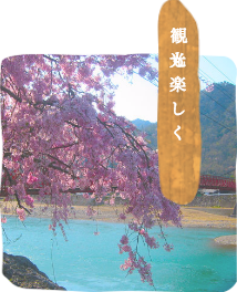 四季を楽しむ　美濃市のご宴会・ご法事・ご宿泊の「美濃緑風荘」美濃でお食事するなら料理旅館「美濃緑風荘」
