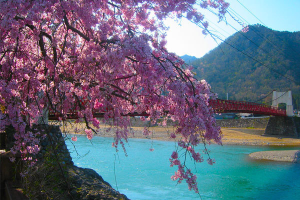 美濃市観光情報 美濃橋(国指定重要文化財)